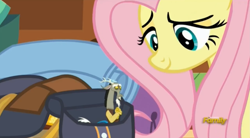 Size: 1673x923 | Tagged: safe, imported from derpibooru, screencap, discord, fluttershy, dungeons and discords, micro