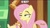 Size: 888x499 | Tagged: safe, edit, edited screencap, imported from derpibooru, screencap, fluttershy, dungeons and discords, discovery family logo, faic, female, image macro, lidded eyes, meme, o rly, reaction image, solo