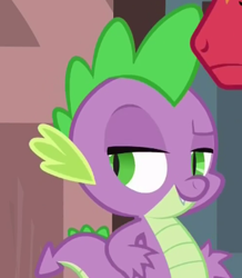 Size: 329x377 | Tagged: safe, imported from derpibooru, screencap, big macintosh, spike, earth pony, pony, dungeons and discords, dreamworks face, male, stallion