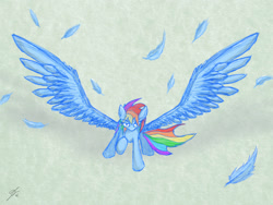 Size: 1600x1200 | Tagged: safe, artist:zodiarkfox, imported from derpibooru, rainbow dash, pony, feather, female, solo, spread wings