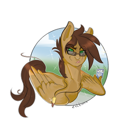 Size: 1500x1500 | Tagged: safe, artist:zakkurro, imported from derpibooru, oc, oc only, oc:tuccsok, pegasus, pony, male, solo, undercover