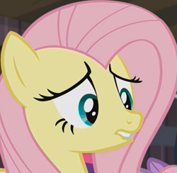 Size: 1308x1276 | Tagged: safe, imported from derpibooru, screencap, fluttershy, pony, the hooffields and mccolts, cropped, face, female, mare, solo, zoom