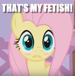 Size: 610x614 | Tagged: safe, imported from derpibooru, fluttershy, blushing, cute, dazed, image macro, lip bite, meme, shyabetes, stare, that is my fetish