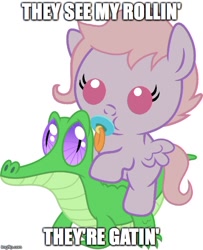 Size: 500x615 | Tagged: safe, artist:red4567, edit, imported from derpibooru, gummy, oc, oc:melody notes, alligator, pony, baby, baby pony, chamillionaire, cute, gummybetes, image macro, imgflip, meme, ponies riding gators, pun, ridin, riding, song reference, they see me rollin'