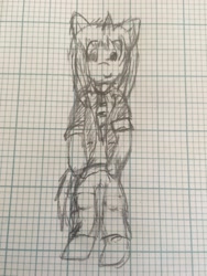 Size: 2448x3264 | Tagged: safe, artist:ryodisk, imported from derpibooru, oc, oc only, oc:ryo disk, anthro, clothes, doodle, graph paper, practice drawing, practice sketch, teacher, traditional art