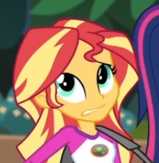 Size: 229x234 | Tagged: safe, imported from derpibooru, screencap, sunset shimmer, equestria girls, legend of everfree, eyeroll, female, reaction image, solo, solo focus