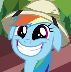 Size: 387x396 | Tagged: safe, imported from derpibooru, screencap, rainbow dash, pegasus, pony, stranger than fan fiction, cute, dashabetes, female, floppy ears, grin, happy, mare, smiling, solo, teeth