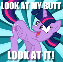 Size: 1052x1040 | Tagged: safe, artist:slb94, imported from derpibooru, twilight sparkle, alicorn, pony, butt, excited, female, image macro, looking back, meme, plot, solo, sunburst background, twilight sparkle (alicorn)