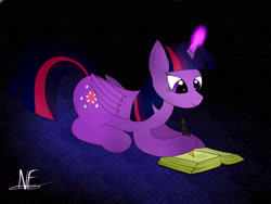 Size: 3264x2448 | Tagged: safe, artist:ollofkyser, imported from derpibooru, twilight sparkle, alicorn, pony, book, purple eyes, twilight sparkle (alicorn), writing