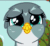 Size: 520x480 | Tagged: safe, imported from derpibooru, screencap, gabby, griffon, the fault in our cutie marks, animated, cute, eye shimmer, female, flying, gabbybetes, gif, happy, looking at you, reaction image, smiling, solo
