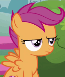 Size: 407x480 | Tagged: safe, imported from derpibooru, screencap, scootaloo, pony, the fault in our cutie marks, female, gif, non-animated gif, reaction image, scootaloo is not amused, solo, unamused