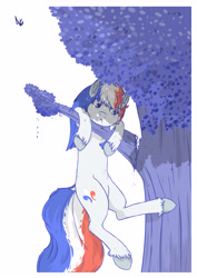 Size: 3408x4808 | Tagged: safe, artist:php102, deleted from derpibooru, imported from derpibooru, oc, oc only, pony, :<, france, french, hang in there, my little pony, nation ponies, original character do not steal, ponified, solo