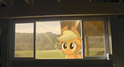 Size: 1600x871 | Tagged: safe, artist:appleandmuffin, artist:lahirien, imported from derpibooru, applejack, floppy ears, irl, photo, ponies in real life, solo, vector