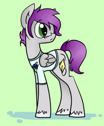 Size: 2450x2975 | Tagged: safe, artist:kyanchan, imported from derpibooru, oc, oc only, pegasus, pony, clothes, glasses, shirt, solo