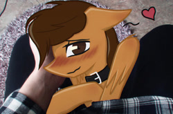 Size: 1280x847 | Tagged: safe, artist:taleriko, imported from derpibooru, oc, oc only, oc:toanderic, human, pony, blushing, collar, heart, irl, offscreen character, photo, ponies in real life, pov, rcf community