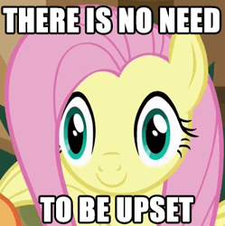 Size: 333x334 | Tagged: safe, edit, edited screencap, imported from derpibooru, screencap, applejack, fluttershy, viva las pegasus, caption, dead stare, faic, image macro, las pegasus, las pegasus stare, meme, reaction image, text, there is no need to be upset, thousand yard stare