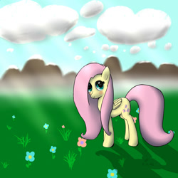 Size: 1000x1000 | Tagged: safe, artist:shaliwolf, imported from derpibooru, fluttershy, female, newbie artist training grounds, solo