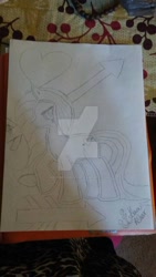 Size: 600x1067 | Tagged: safe, artist:neonbeyond21, imported from derpibooru, oc, oc only, oc:radster, monochrome, newbie artist training grounds, traditional art, watermark