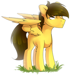 Size: 1024x1109 | Tagged: safe, artist:starlyfly, artist:starlyflygallery, imported from derpibooru, oc, oc only, pegasus, pony, solo