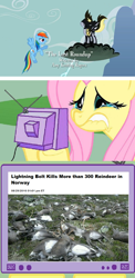 Size: 700x1440 | Tagged: source needed, safe, edit, edited screencap, imported from derpibooru, screencap, derpy hooves, fluttershy, rainbow dash, deer, pegasus, pony, reindeer, the last roundup, cloud, corpse, crying, dead, exploitable meme, female, image macro, lightning, mare, meme, norway, obligatory pony, sad, tv meme