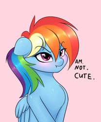 Size: 1000x1200 | Tagged: safe, artist:elzzombie, imported from derpibooru, rainbow dash, pegasus, pony, :t, blatant lies, blushing, cute, dashabetes, female, floppy ears, glare, i'm not cute, looking at you, madorable, mare, pink background, scrunchy face, simple background, solo, truth, tsunderainbow, tsundere