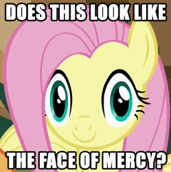 Size: 332x333 | Tagged: safe, edit, edited screencap, imported from derpibooru, screencap, applejack, fluttershy, viva las pegasus, caption, dead stare, face of mercy, faic, image macro, las pegasus, las pegasus stare, looking at you, meme, reaction image, text, thousand yard stare