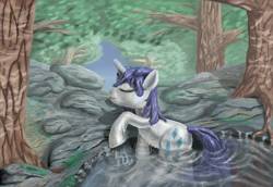 Size: 6000x4129 | Tagged: safe, artist:morevespenegas, imported from derpibooru, rarity, absurd resolution, bathing, female, outdoors, solo, water