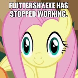 Size: 500x500 | Tagged: safe, edit, edited screencap, imported from derpibooru, screencap, fluttershy, viva las pegasus, caption, cropped, las pegasus stare, meme, thousand yard stare, x.exe stopped working