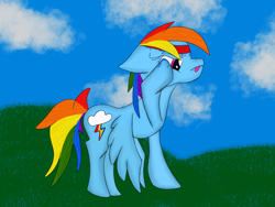 Size: 2048x1536 | Tagged: safe, artist:spectradust, imported from derpibooru, rainbow dash, cloud, female, headband, newbie artist training grounds, solo