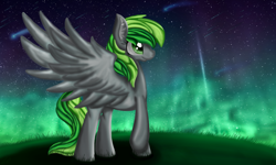 Size: 2192x1318 | Tagged: dead source, safe, artist:lunaritass, imported from derpibooru, oc, oc only, oc:forest rain, aurora borealis, solo