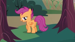 Size: 1100x618 | Tagged: safe, imported from derpibooru, screencap, scootaloo, pony, hearts and hooves day (episode), butt, female, hearts and hooves day, lidded eyes, mare, out of context, plot, solo