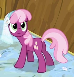 Size: 337x350 | Tagged: safe, imported from derpibooru, screencap, cheerilee, pony, hearts and hooves day (episode), butt, cropped, female, flowerbutt, hearts and hooves day, mare, mattress, plot, solo, veil, wedding veil