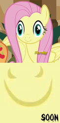 Size: 1366x2800 | Tagged: safe, imported from derpibooru, applejack, fluttershy, viva las pegasus, derp, derp face, discovery family logo, faic, las pegasus stare, meme, snout, snout face, soon