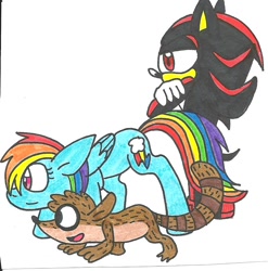 Size: 800x810 | Tagged: safe, artist:cmara, imported from derpibooru, rainbow dash, crossover, regular show, rigby, sega, shadow the hedgehog, sonic the hedgehog (series), traditional art, video game