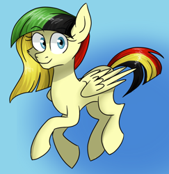 Size: 1024x1054 | Tagged: safe, artist:hetalianderpy, imported from derpibooru, pegasus, pony, ponified, saitnt kitts and nevis, smiling, solo