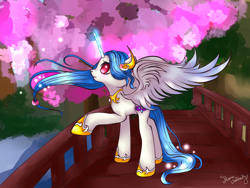 Size: 1024x768 | Tagged: safe, artist:php23, deleted from derpibooru, imported from derpibooru, oc, oc only, alicorn, pony, accessories, accessory, alicorn oc, bridge, cherry blossoms, color porn, river, solo focus, stream