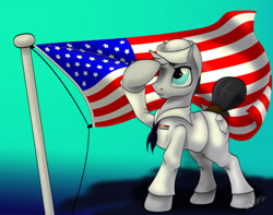 Size: 2500x1969 | Tagged: safe, artist:miniferu, imported from derpibooru, oc, oc only, oc:jack rabbit, pony, unicorn, flag, military, navy, solo