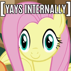 Size: 334x334 | Tagged: safe, edit, edited screencap, imported from derpibooru, screencap, applejack, fluttershy, viva las pegasus, caption, image macro, las pegasus stare, meme, reaction image, text, x internally, yay