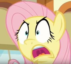 Size: 481x433 | Tagged: safe, imported from derpibooru, screencap, fluttershy, pony, buckball season, cropped, out of context, out of context face, reaction image