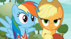 Size: 858x477 | Tagged: safe, imported from derpibooru, screencap, applejack, rainbow dash, pony, buckball season, ball, clothes, discovery family logo, gif, jersey, lidded eyes, non-animated gif, smiling, thousand yard stare