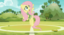 Size: 858x470 | Tagged: safe, imported from derpibooru, screencap, fluttershy, pinkie pie, pony, buckball season, animated, ball, clothes, duo, female, gif, jersey, pinktails pie