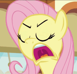 Size: 750x720 | Tagged: safe, imported from derpibooru, screencap, fluttershy, pegasus, pony, buckball season, season 6, angry, animated, faic, female, flutterrage, gif, mare, peeved, rage, solo, talking, yelling