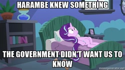 Size: 500x281 | Tagged: safe, edit, edited screencap, imported from derpibooru, screencap, starlight glimmer, every little thing she does, exploitable meme, female, harambe, meme, meta, obligatory pony, solo, starlight bedridden