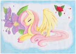 Size: 2560x1811 | Tagged: safe, artist:shingery, imported from derpibooru, fluttershy, colored hooves, eyes closed, female, flower, prone, solo, spread wings, traditional art