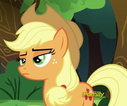 Size: 1016x847 | Tagged: safe, imported from derpibooru, screencap, applejack, pony, buckball season, applejack is not amused, cropped, discovery family logo, female, mare, solo, unamused