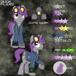 Size: 2000x2000 | Tagged: safe, artist:hoodwinkedtales, imported from derpibooru, oc, oc only, oc:dusk flare, fallout equestria, fallout equestria: relics of the past, goggles, reference sheet, solo