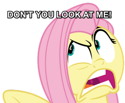 Size: 886x731 | Tagged: safe, imported from derpibooru, fluttershy, buckball season, angry, caption, female, image macro, solo, text