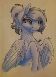 Size: 900x1232 | Tagged: safe, artist:cloud-dash, imported from derpibooru, oc, oc only, oc:cloud dash, pegasus, pony, ponytail, solo, traditional art