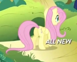 Size: 334x272 | Tagged: safe, imported from derpibooru, screencap, fluttershy, pony, maud pie (episode), all new, butt, cropped, female, flutterbutt, mare, plot, text