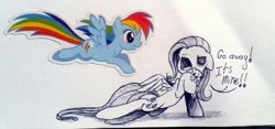 Size: 1164x544 | Tagged: safe, artist:pinkamenacheshirepie, imported from derpibooru, fluttershy, rainbow dash, dialogue, duo, holding, sticker, traditional art